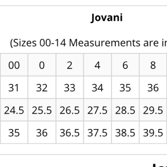 Jovani custom dress - Picture 5 of 5